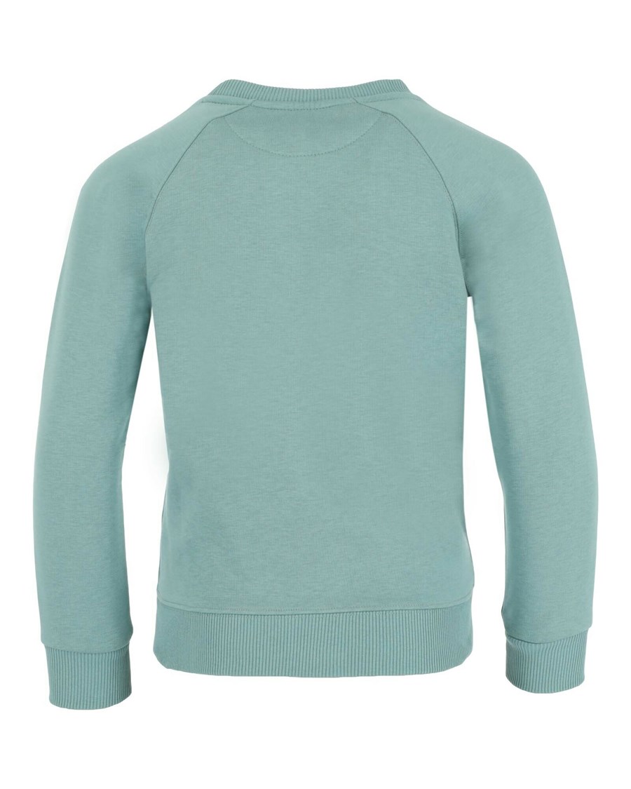 Mexx Crew neck sweater Dark Mint Ciemny Mięta | LQDGO0793