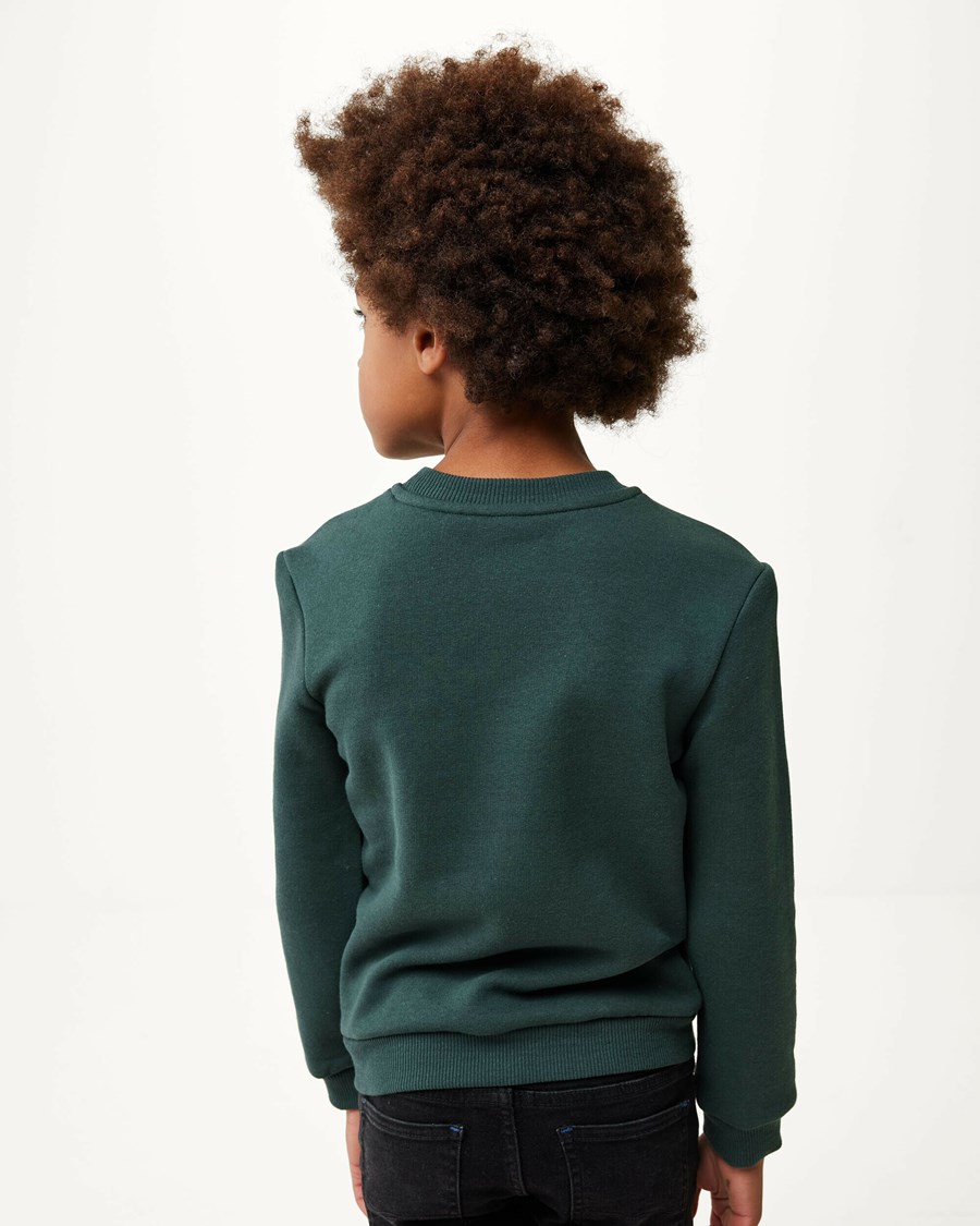 Mexx Crewneck logo carrier Dark Green Zielone | HWPMS8436