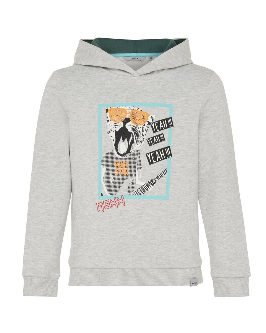 Mexx Hoody with artwork Grey Melee Szare | WRBXT5749