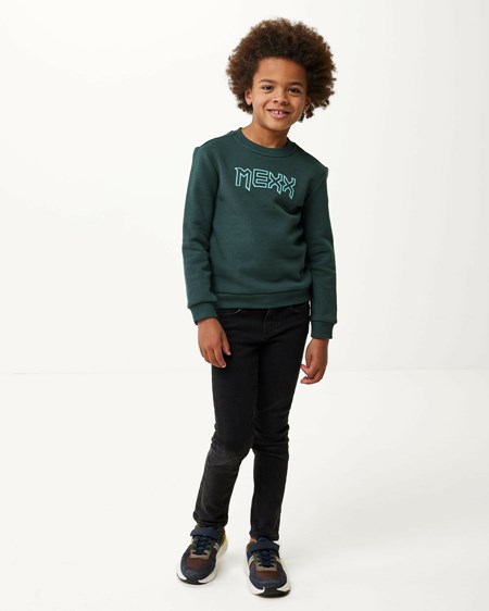 Mexx Crewneck logo carrier Dark Green Zielone | HWPMS8436