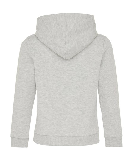 Mexx Hoody with artwork Grey Melee Szare | WRBXT5749